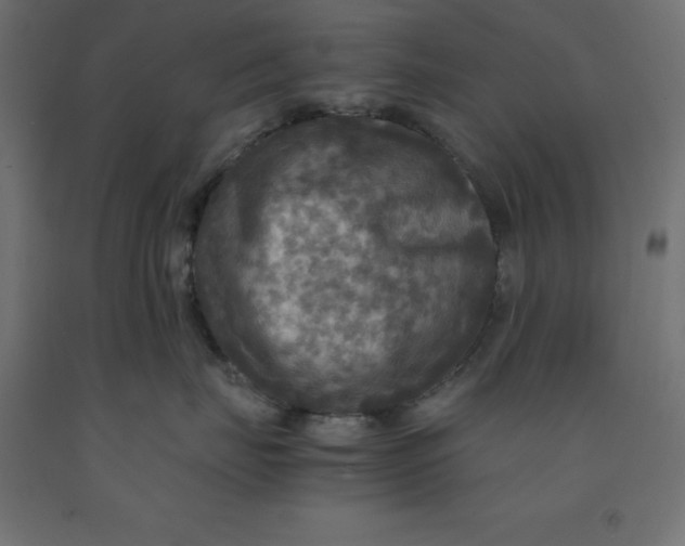 X0000092000671200709271509