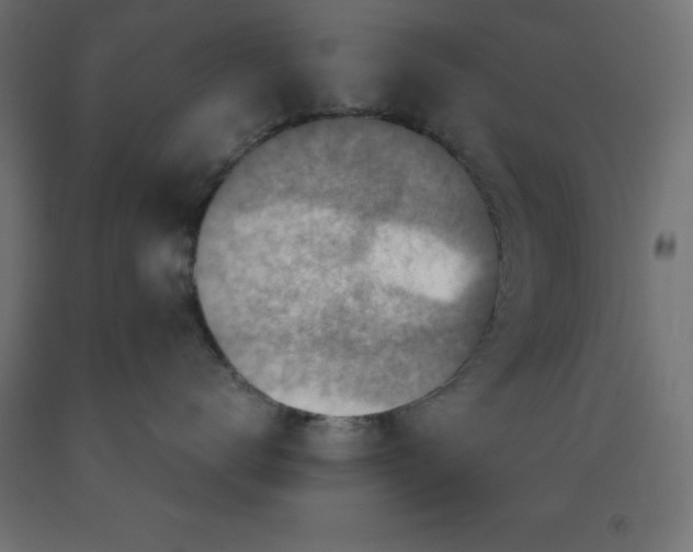 X0000092000672200709271509