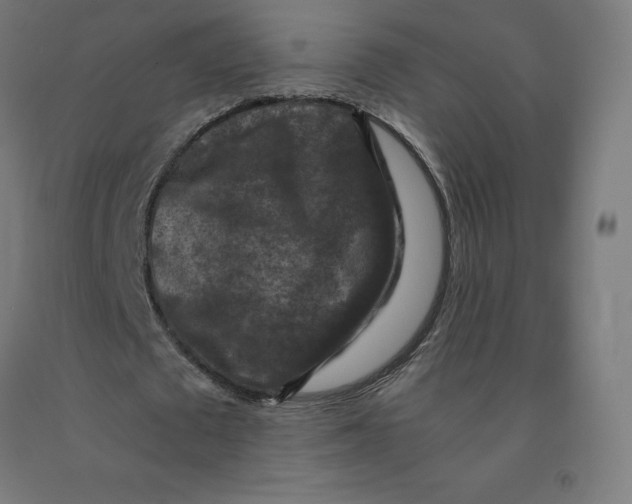 X0000092000673200709271509