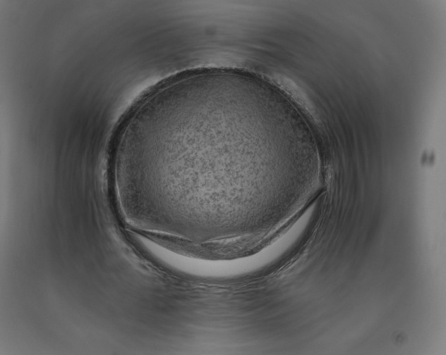 X0000092000676200709271509