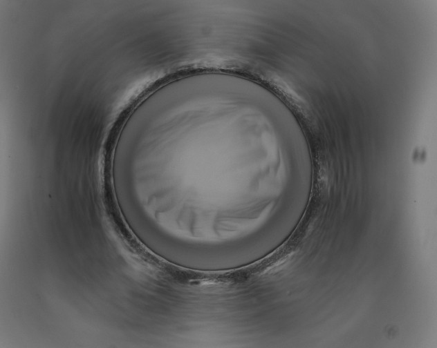 X0000092000678200709271509