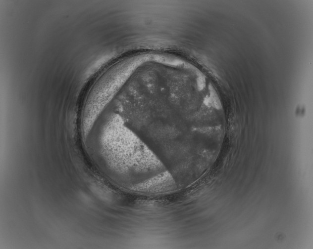 X0000092000679200709271509