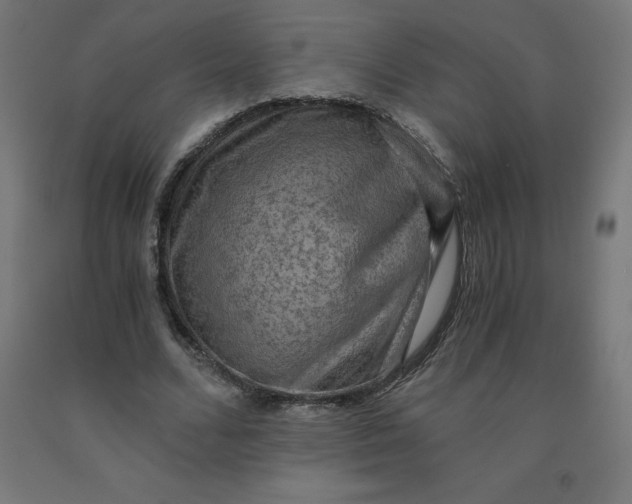 X0000092000680200709271509