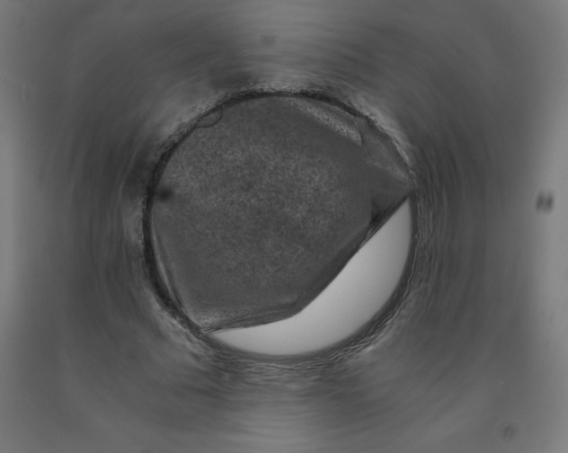 X0000092000681200709271509