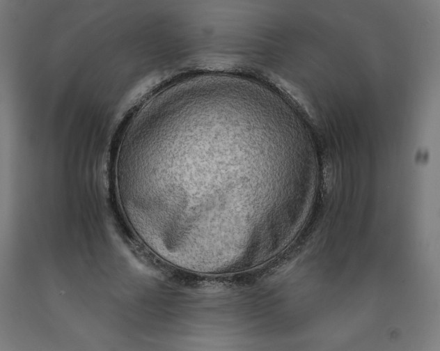 X0000092000682200709271509