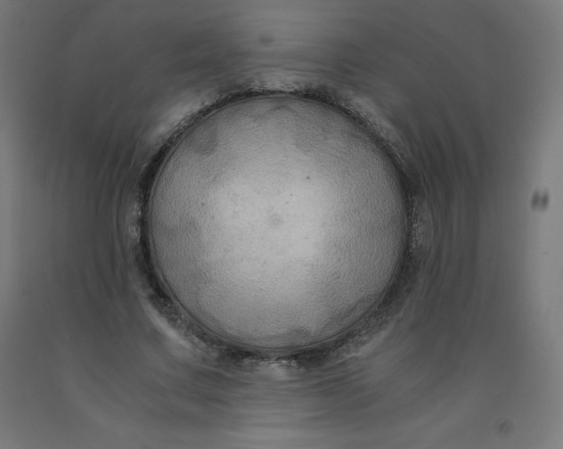 X0000092000683200709271509