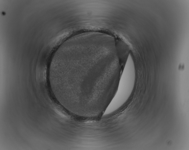 X0000092000685200709271509