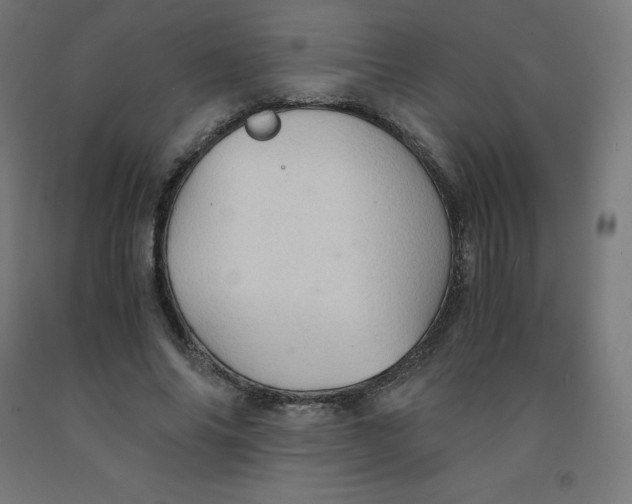 X0000092000686200709271509