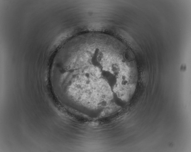 X0000092000687200709271509