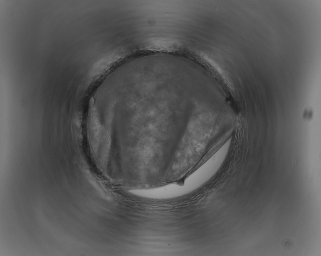 X0000092000688200709271509