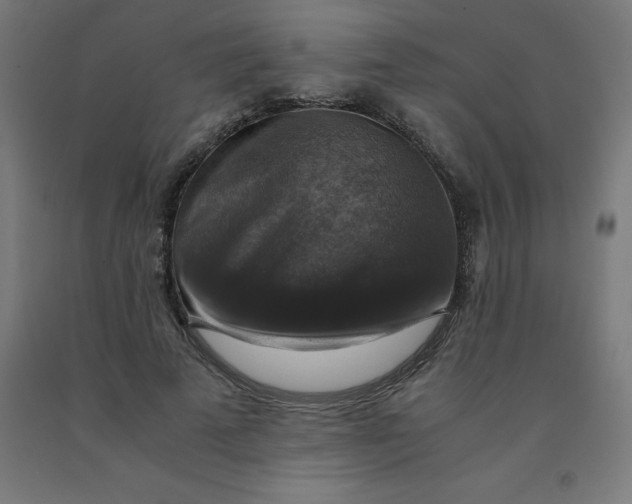 X0000092000689200709271509