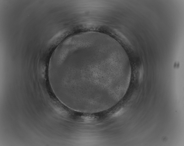 X0000092000693200709271508