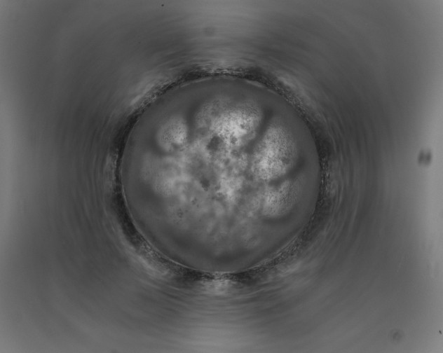 X0000092000695200709271508