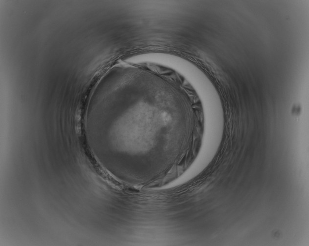 X0000092000696200709271508