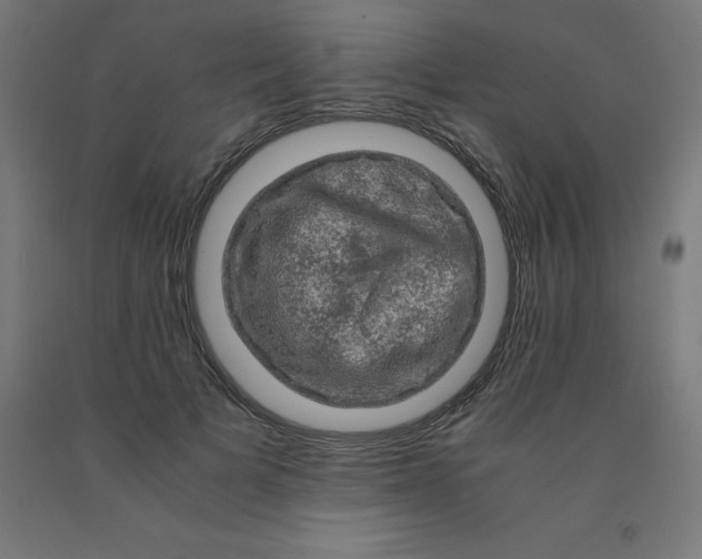 X0000092000697200709271508