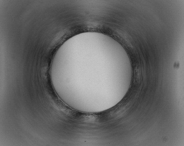 X0000092000698200709271508