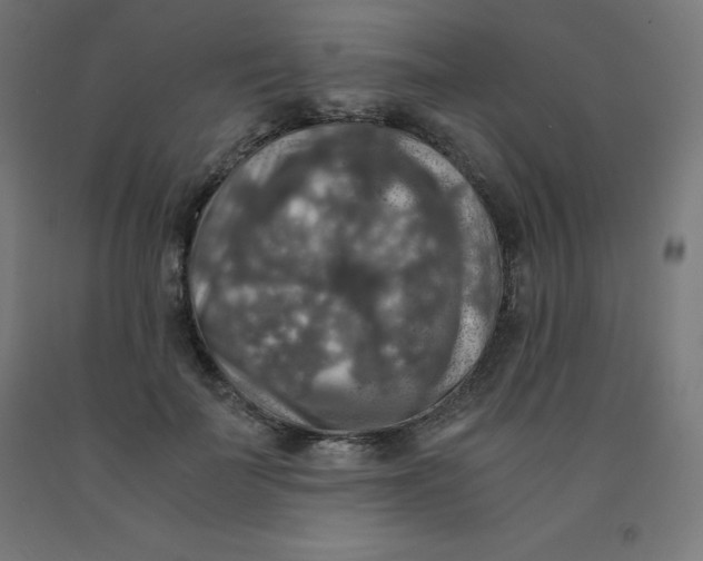 X0000092000699200709271508