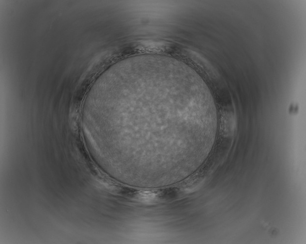 X0000092000701200709271508