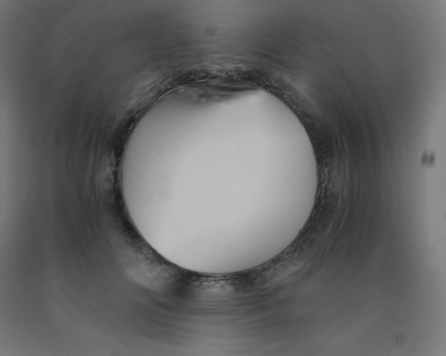 X0000092000702200709271508