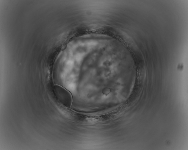 X0000092000703200709271508