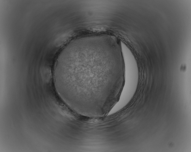 X0000092000704200709271508