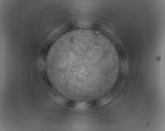 X0000092000705200709271508