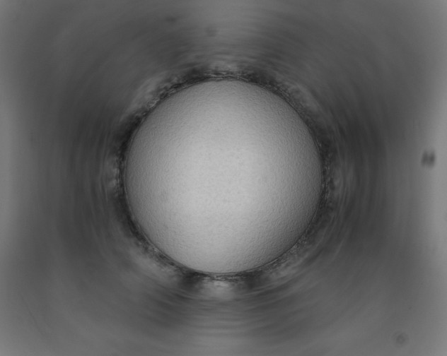 X0000092000706200709271508