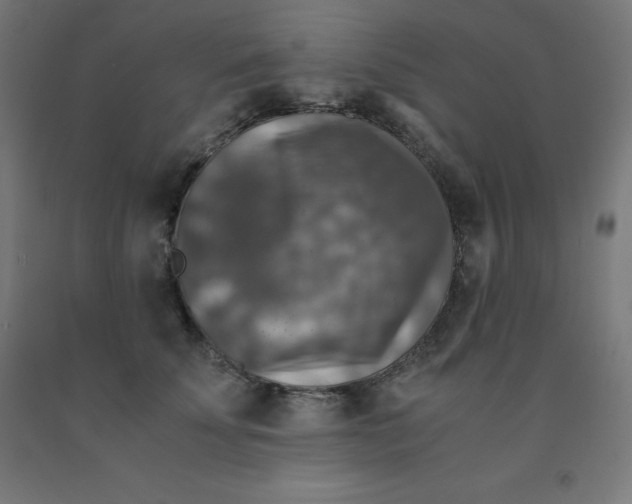 X0000092000707200709271508