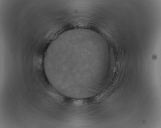 X0000092000709200709271508