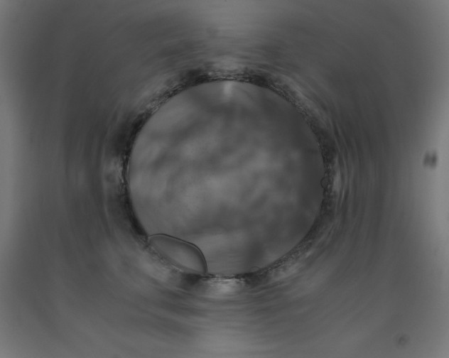 X0000092000711200709271508