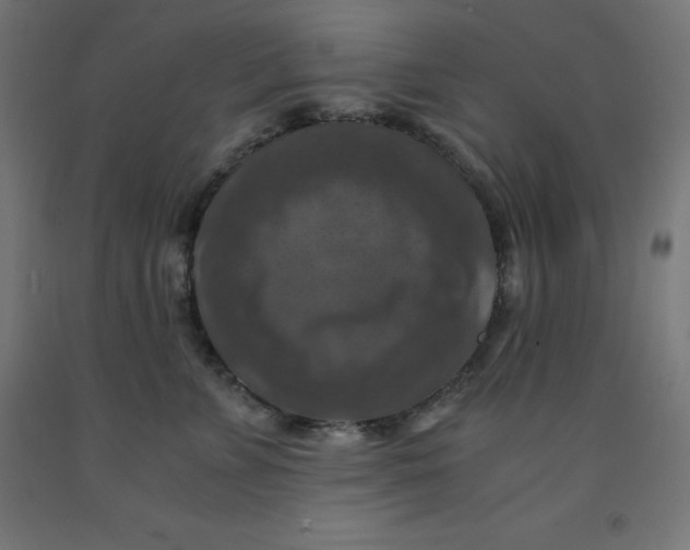 X0000092000715200709271508