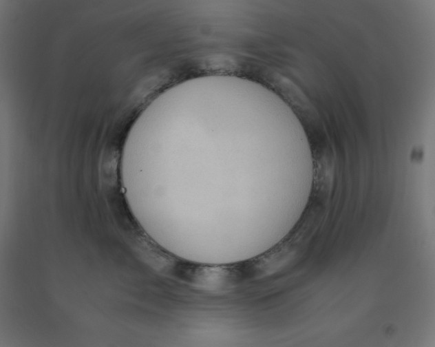 X0000092000717200709271508