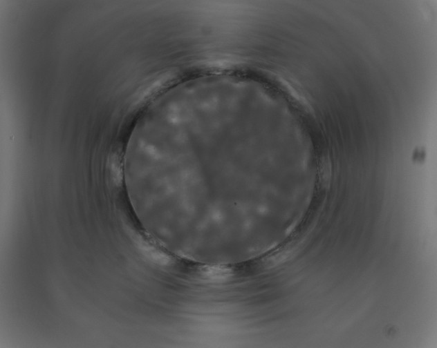 X0000092000719200709271508