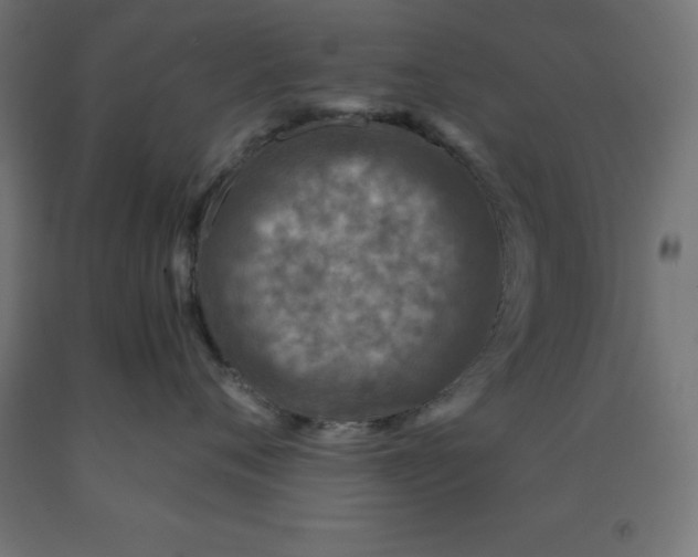 X0000092000720200709271508