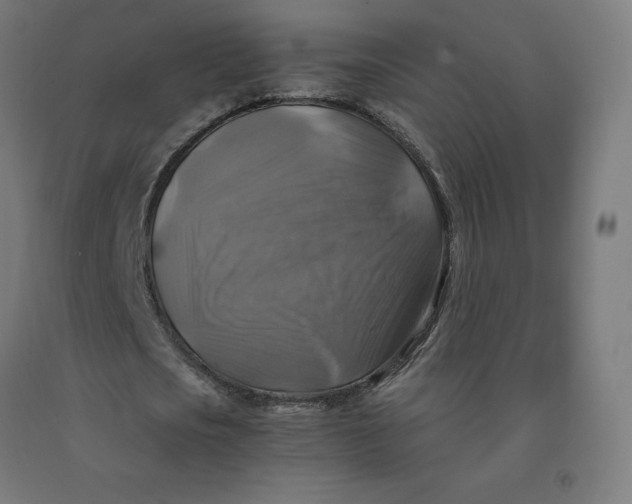 X0000092000721200709271508