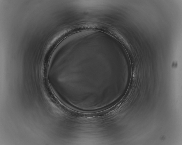 X0000092000722200709271508