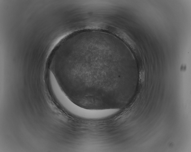 X0000092000724200709271508