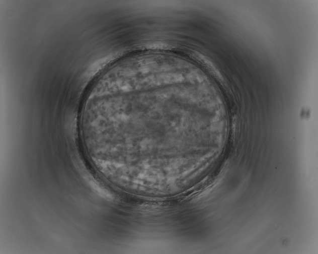 X0000092000725200709271508