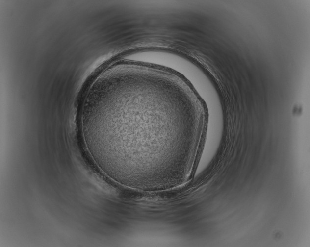 X0000092000727200709271508