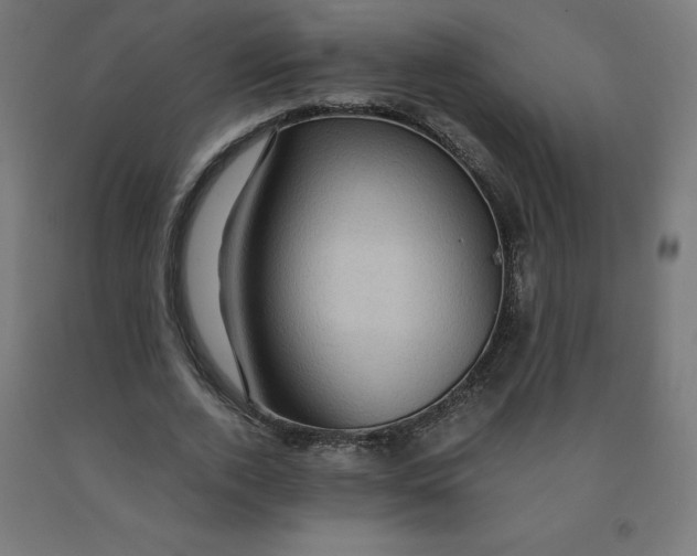 X0000092000728200709271508