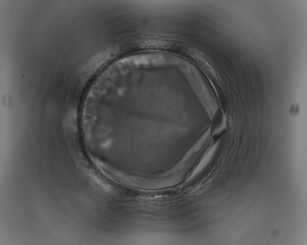 X0000092000729200709271508