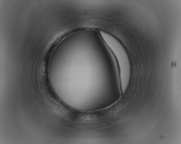 X0000092000731200709271508