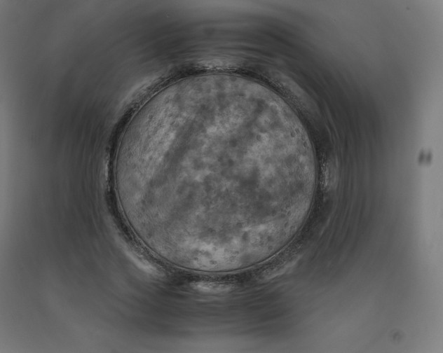 X0000092000733200709271508