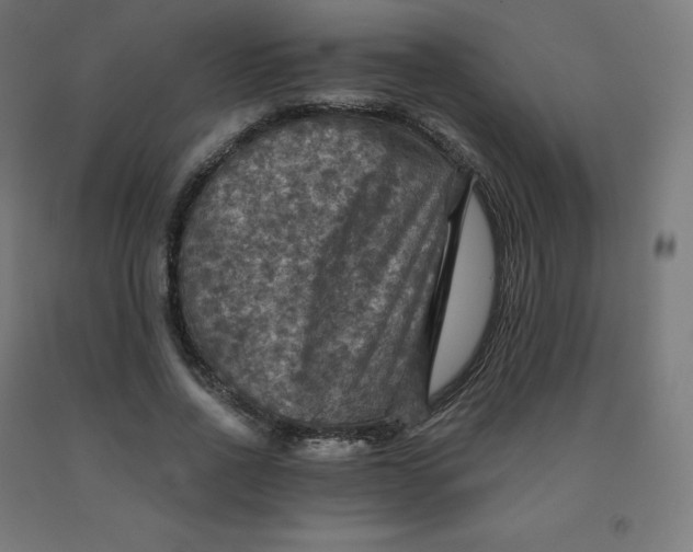 X0000092000734200709271508