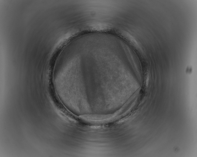 X0000092000736200709271508