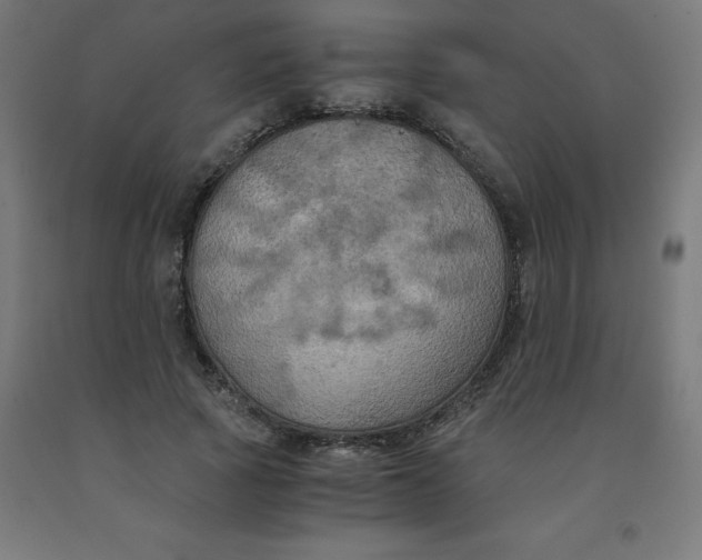 X0000092000737200709271508