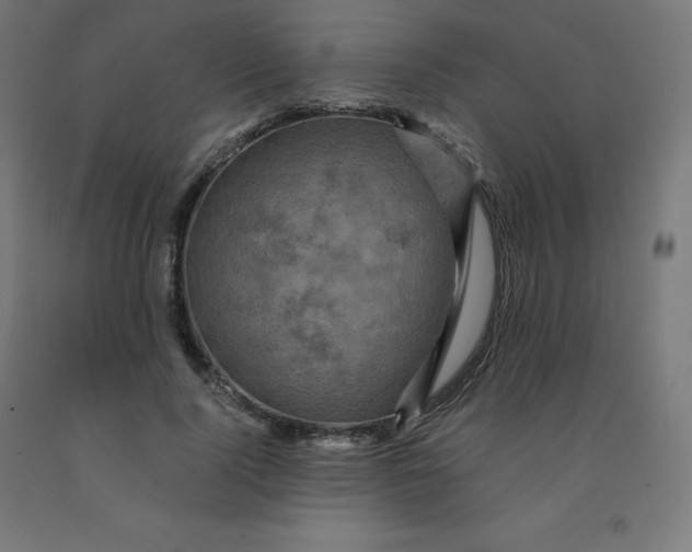 X0000092000740200709271508