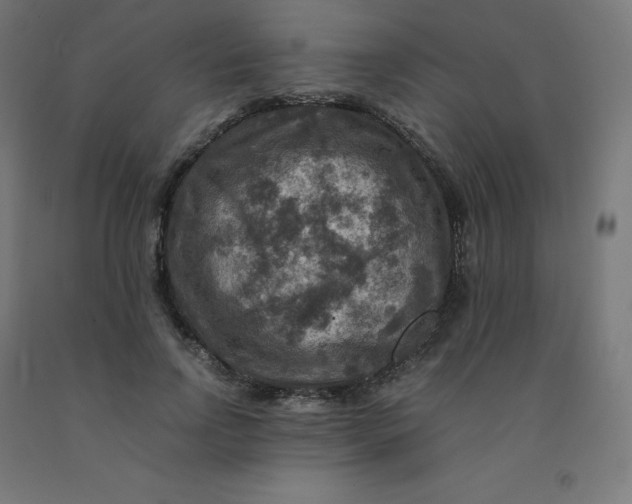 X0000092000742200709271508