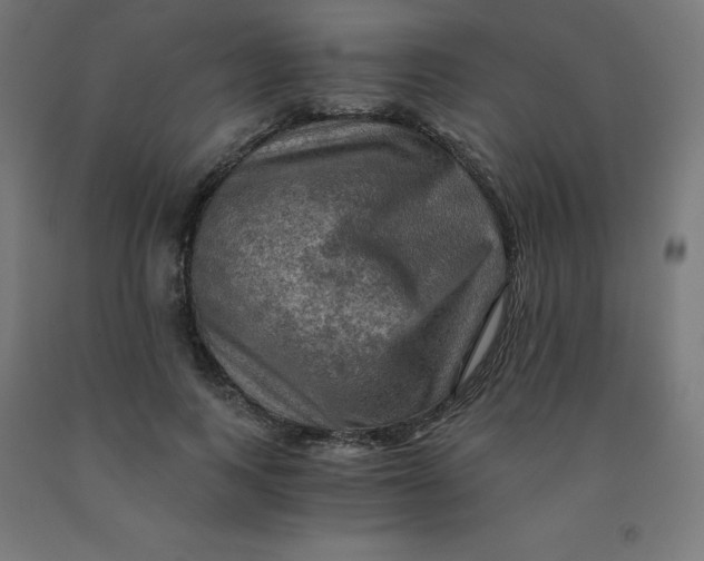 X0000092000743200709271508