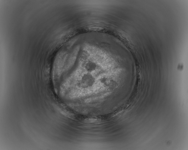 X0000092000745200709271508